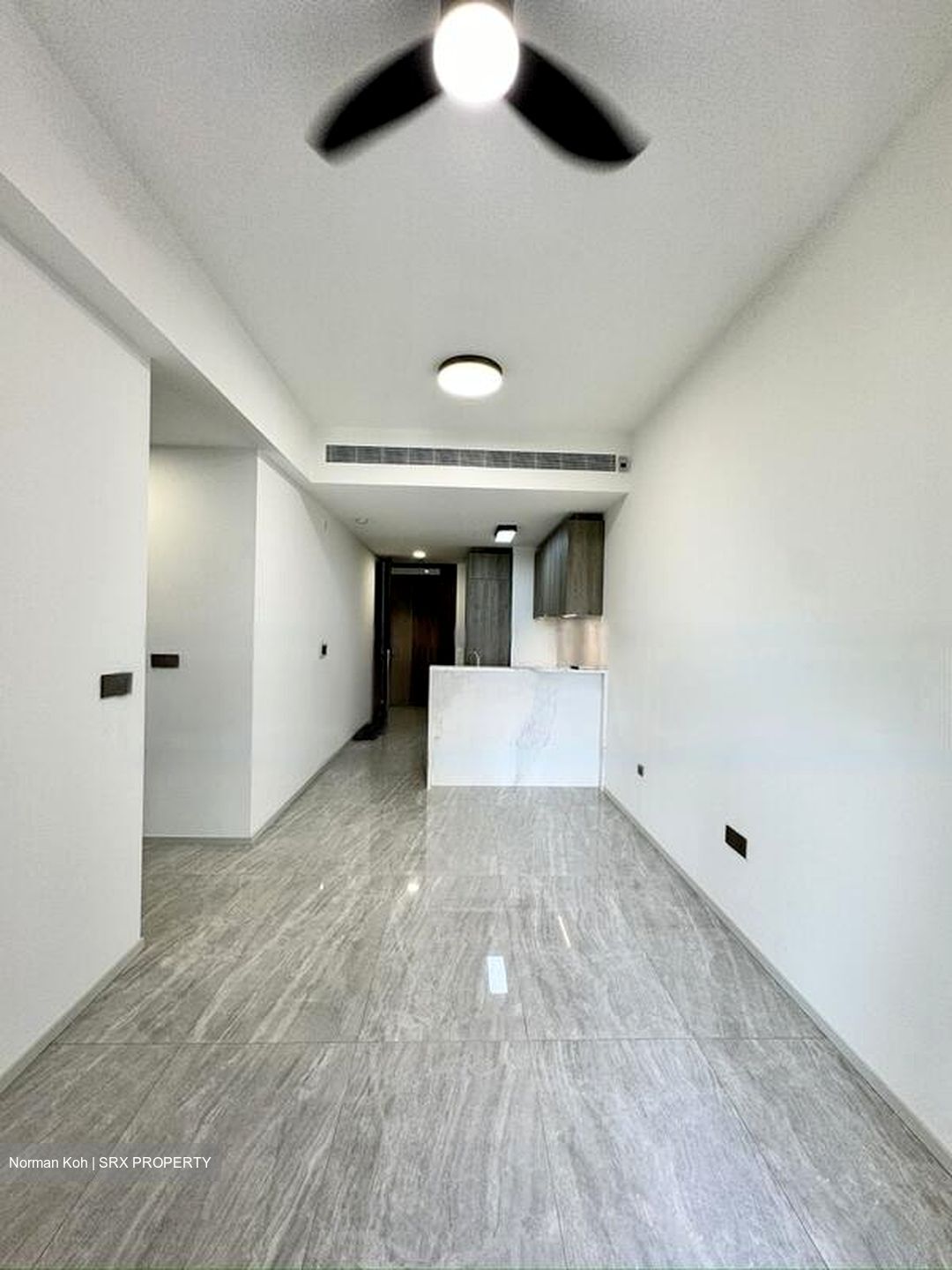 Leedon Green (D10), Condominium #470466411